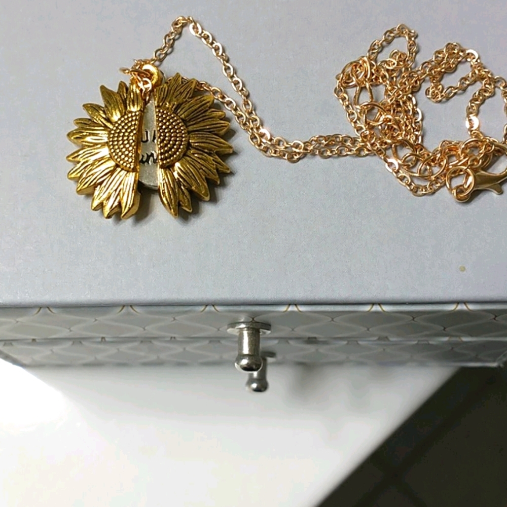 You are my sunshine necklace nwt
